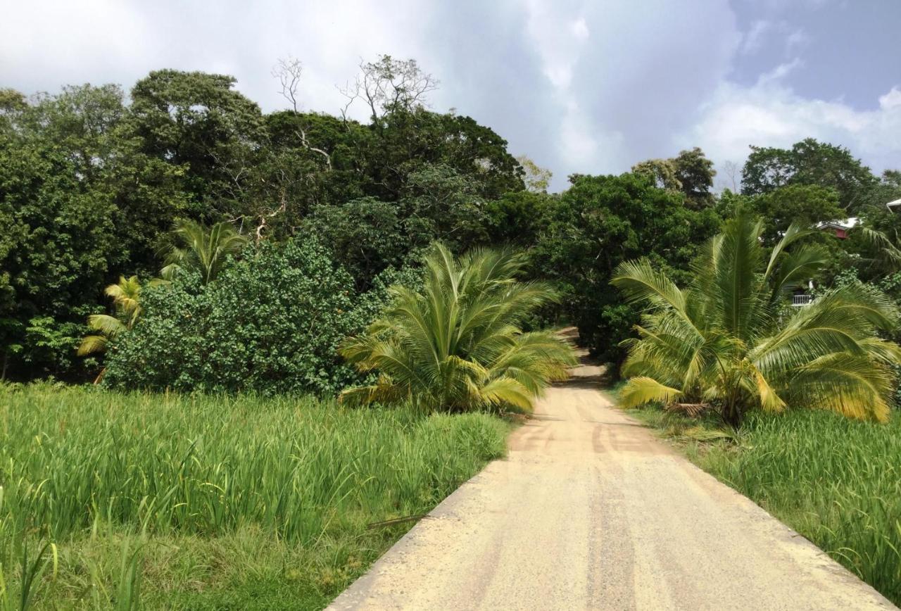 Located Among The Woods On A Country Road Leading West Bay Beach Daire Dış mekan fotoğraf