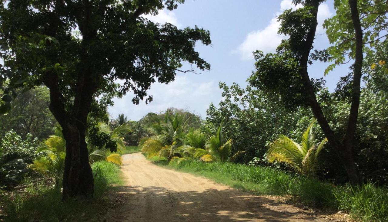 Located Among The Woods On A Country Road Leading West Bay Beach Daire Dış mekan fotoğraf